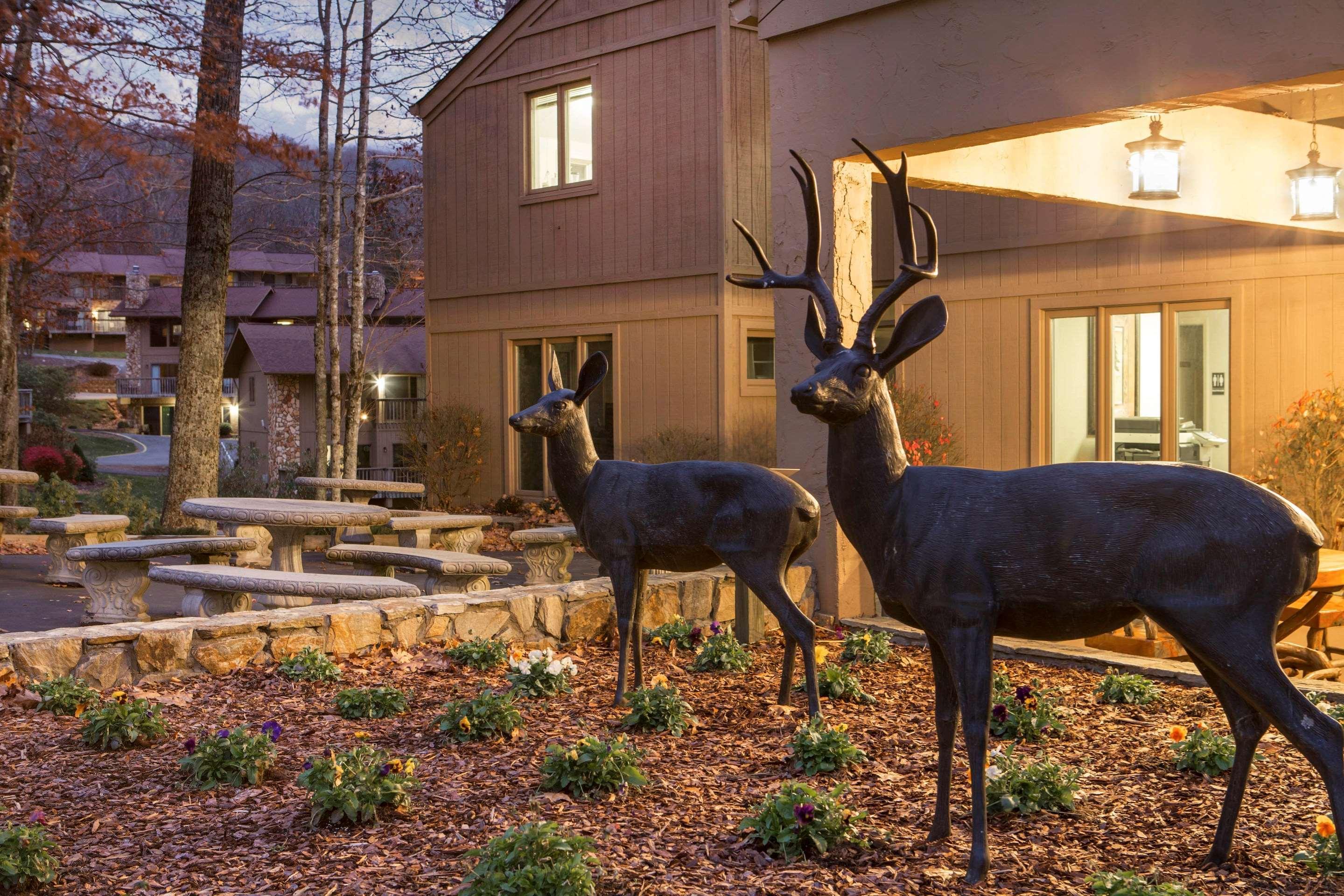 Bluegreen Vacations Blue Ridge Village, An Ascend Resort Banner Elk Exterior foto